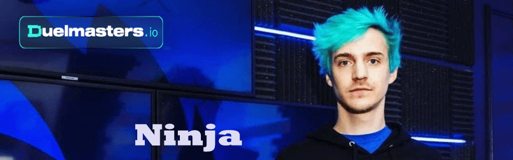 Ninja Net Worth
